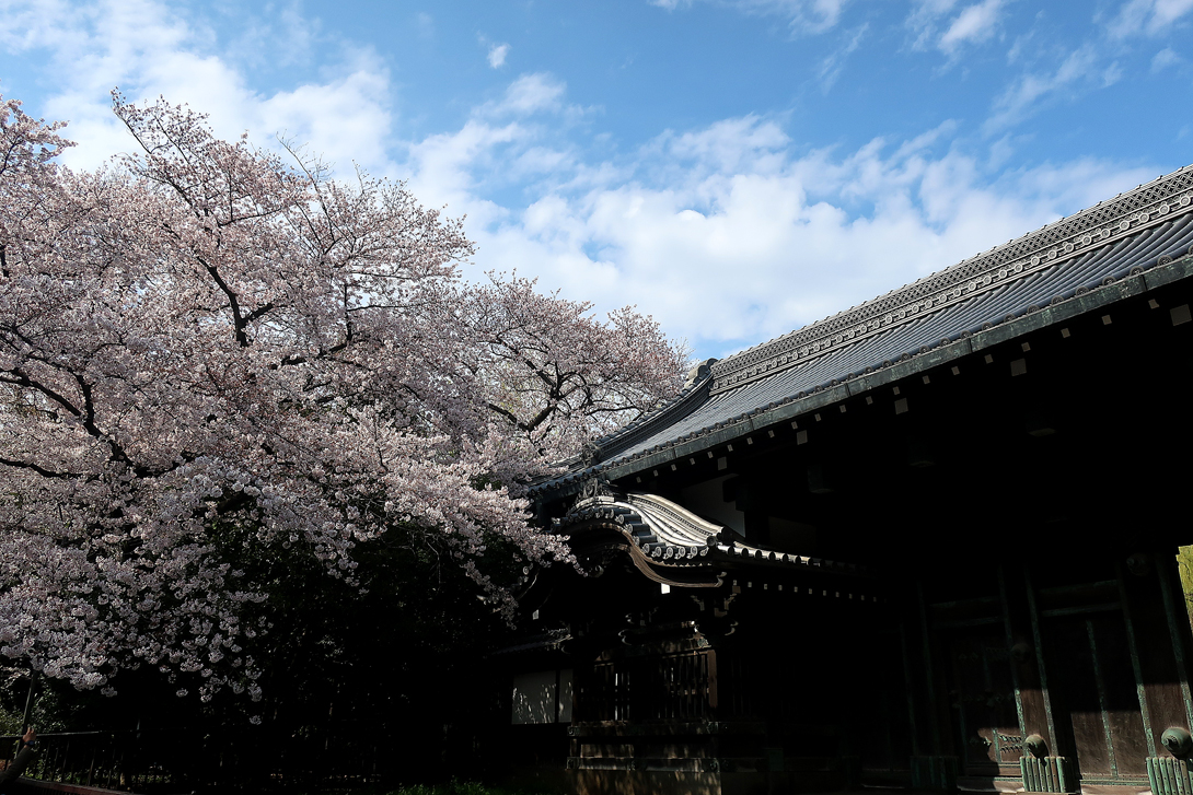 東京国立博物館