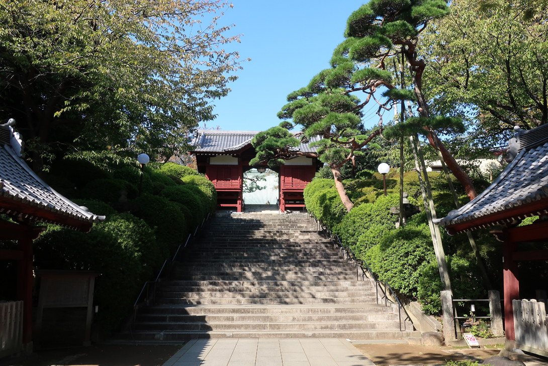 護国寺茶寮　円成庵　東京茶道会茶会