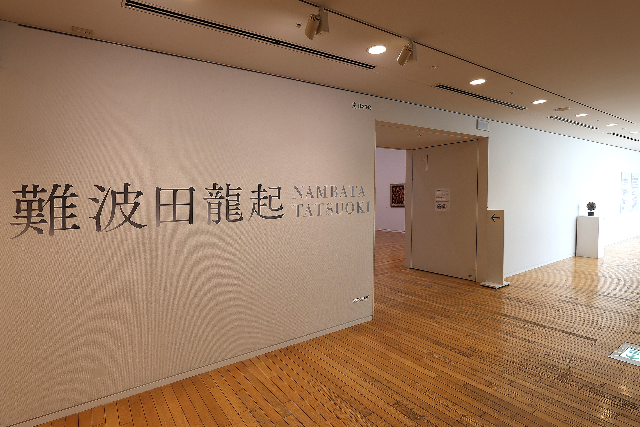 「難波田龍起」展　東京オペラシティアートギャラリー