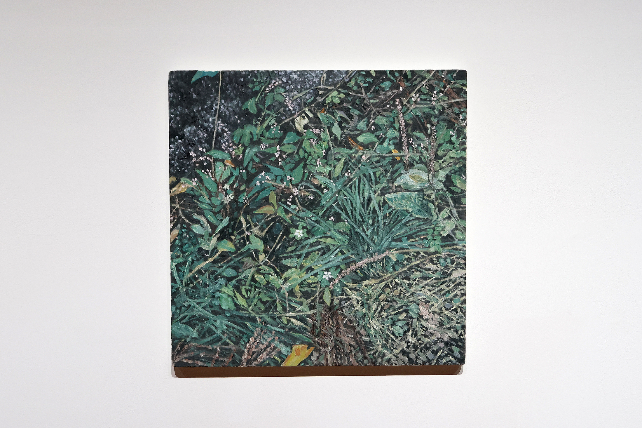 ISSHIN TANISAKI「FEEL」LURF GALLERY