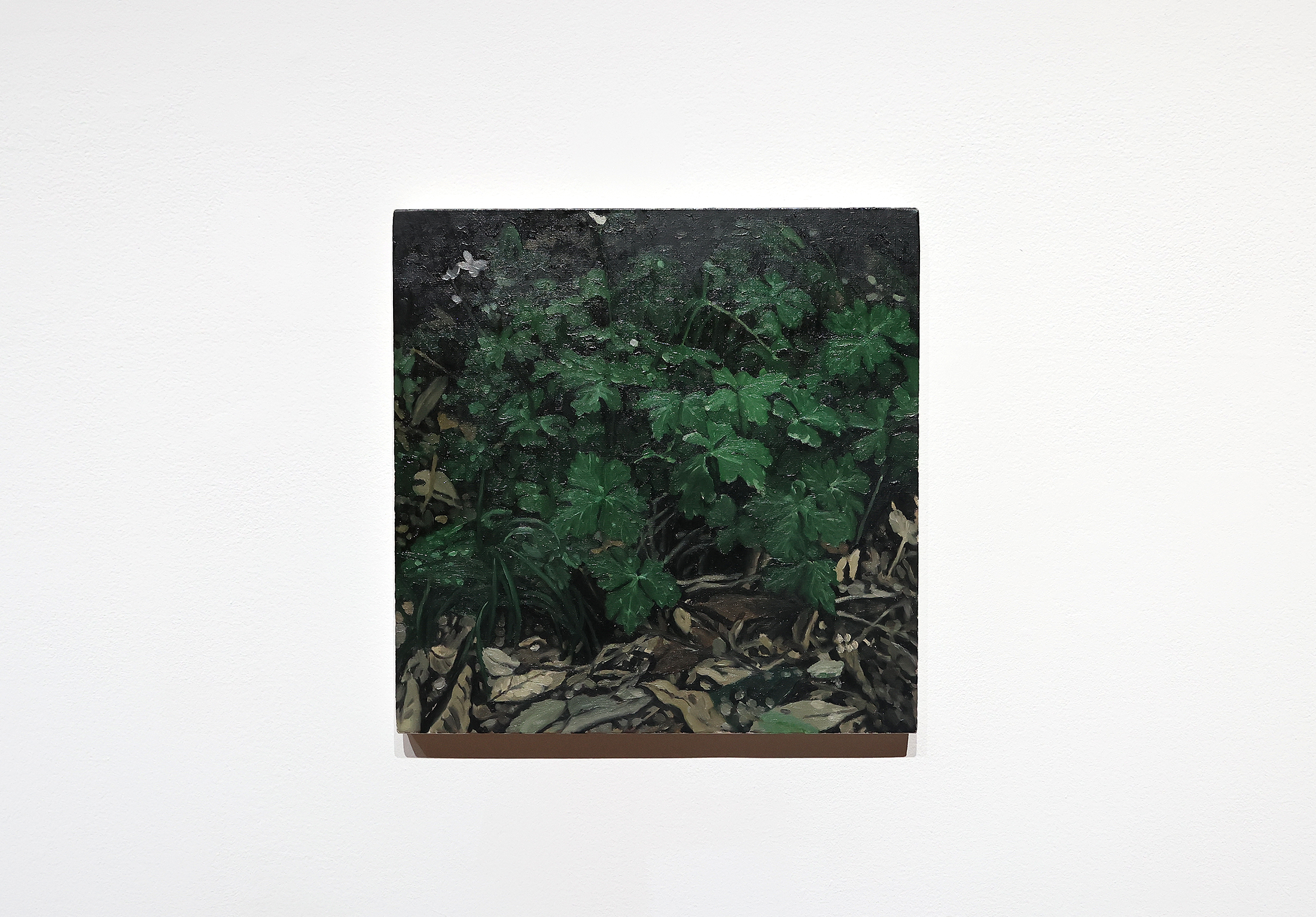 ISSHIN TANISAKI「FEEL」LURF GALLERY