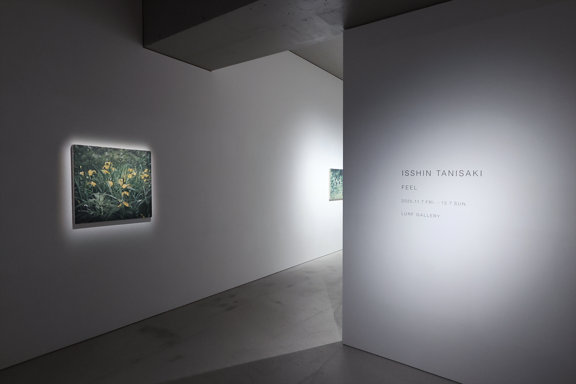 ISSHIN TANISAKI「FEEL」LURF GALLERY