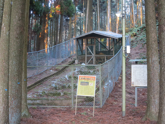 佐賀県　唐津　岸岳古窯跡